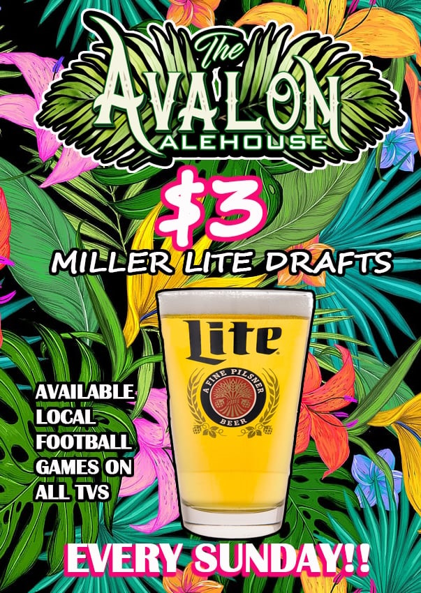 Avalon Ale House Rickhouse Speakeasy Speak Easy Whiskey Bar Hanover PA 17331 Florida Inspired Bar and Restaurant Nightlife Live Music